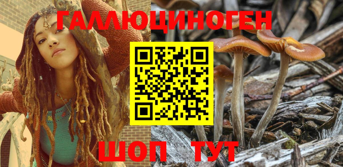 Псилоцибиновые грибы мицелий  Вход с VPN  Галлюциногенные грибы Magic Shrooms  Сыктывкар 